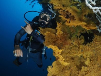 WhatsApp Image 2025-07-30 at 09.53.56 (1)