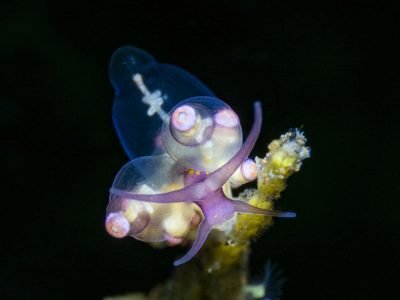 WhatsApp Image 2025-07-30 at 09.53.57 (1)