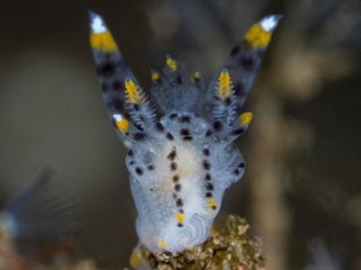 WhatsApp Image 2025-07-30 at 09.53.57 (2)