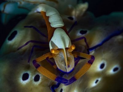 WhatsApp Image 2025-07-30 at 09.53.57