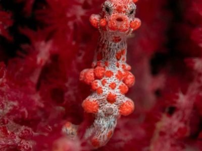 WhatsApp Image 2025-07-30 at 09.53.58 (1)