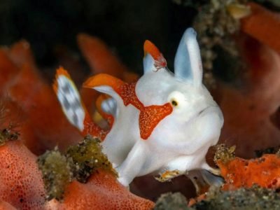 WhatsApp Image 2025-07-30 at 09.53.58 (2)