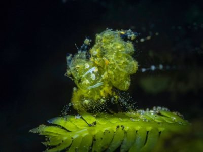 WhatsApp Image 2025-07-30 at 09.53.58