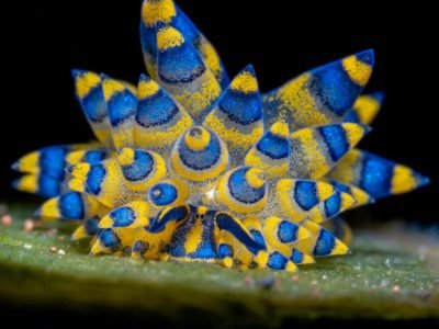 WhatsApp Image 2025-07-30 at 09.53.59 (1)