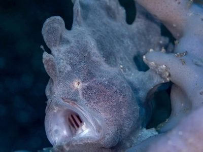 WhatsApp Image 2025-07-30 at 09.53.59