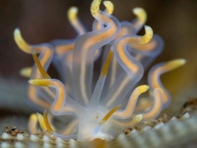 WhatsApp Image 2025-07-30 at 09.54.00 (1)