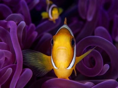 WhatsApp Image 2025-07-30 at 09.54.00