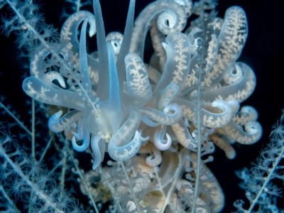 WhatsApp Image 2025-07-30 at 09.54.01 (1)