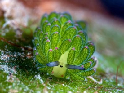 WhatsApp Image 2025-07-30 at 09.54.01 (2)