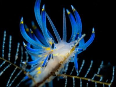 WhatsApp Image 2025-07-30 at 09.54.01 (3)