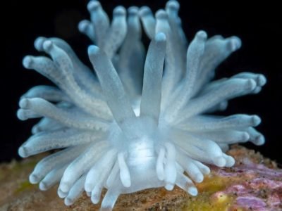 WhatsApp Image 2025-07-30 at 09.54.02