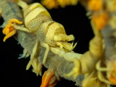 WhatsApp Image 2025-07-30 at 11.51.20 (1)