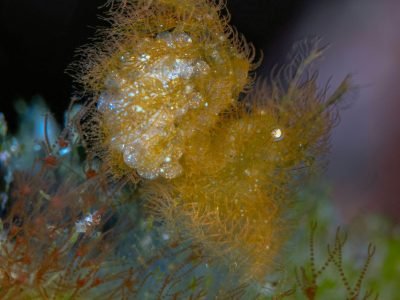 WhatsApp Image 2025-07-30 at 11.51.21 (1)