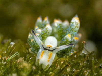 WhatsApp Image 2025-07-30 at 11.51.21 (2)