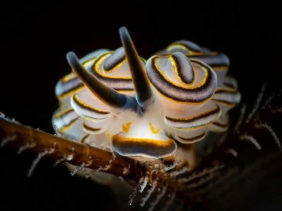 WhatsApp Image 2025-07-30 at 11.51.21