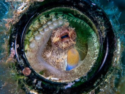 WhatsApp Image 2025-07-30 at 11.51.22