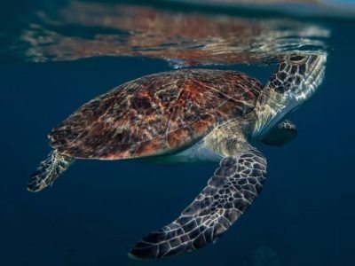 WhatsApp Image 2025-08-05 at 22.54.33